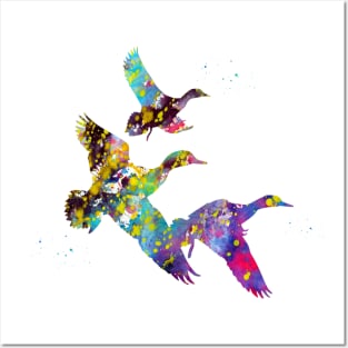 Duck Posters and Art